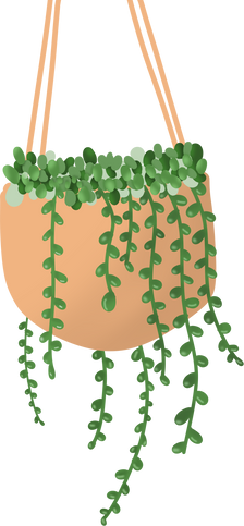 Hanging Plant Illustration